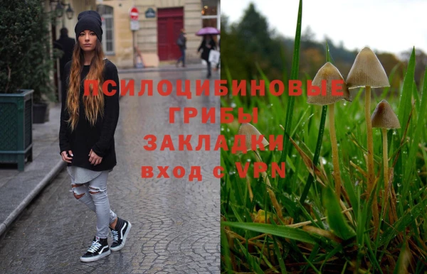 гидропоника Рославль