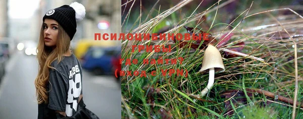 не бодяженный Алексин