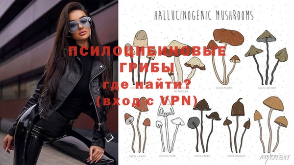 не бодяженный Алексин