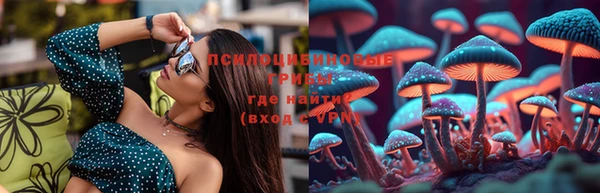прущая мука Алзамай