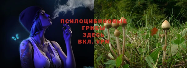 не бодяженный Алексин