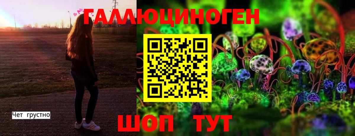 Псилоцибиновые грибы прущие грибы Кириши
